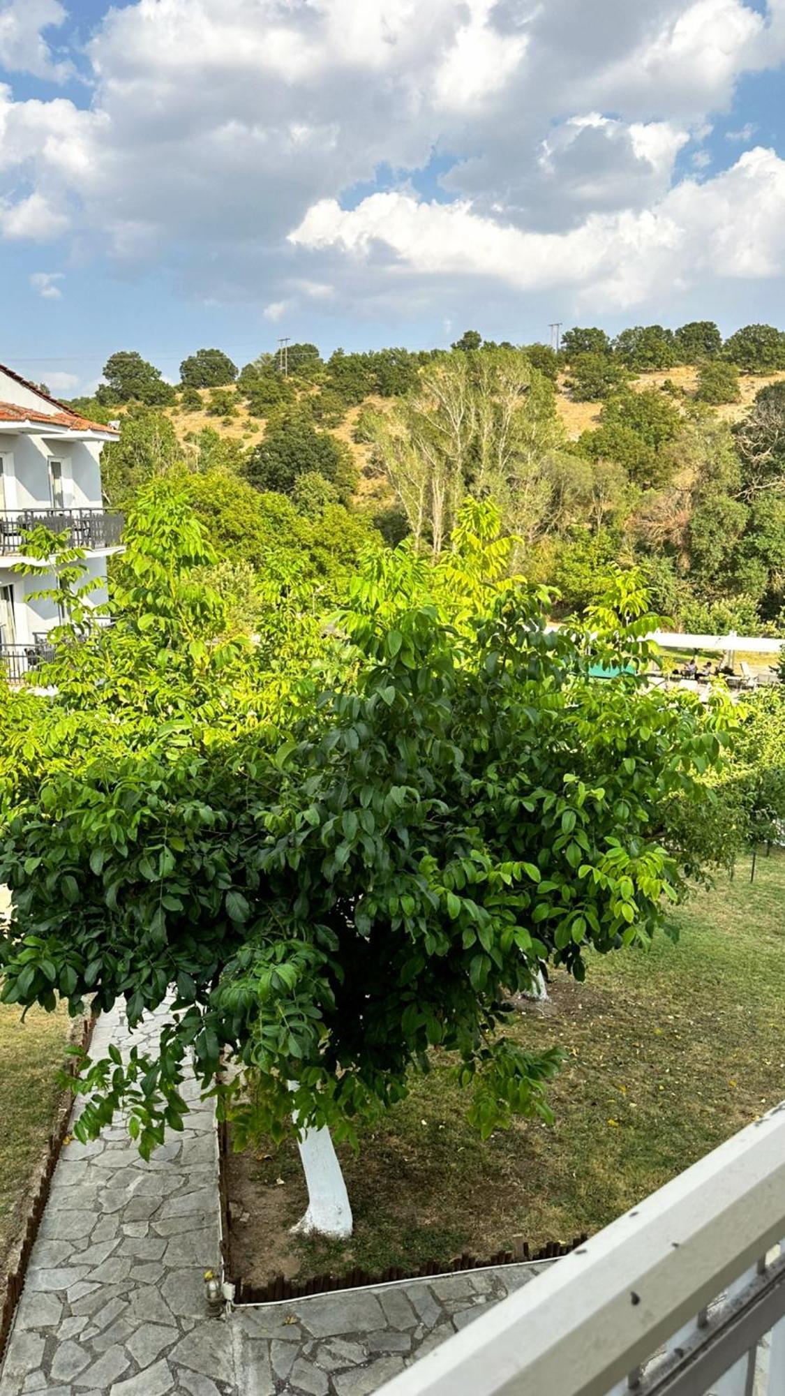 Tselikas Hotel Kozani Oda fotoğraf